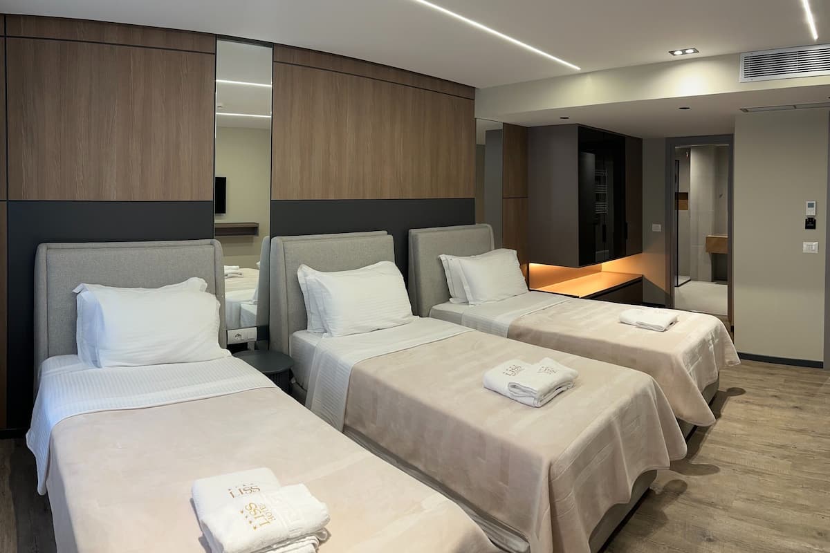 Standard Triple Room | Premium bedding, minibar, in-room safe, desk