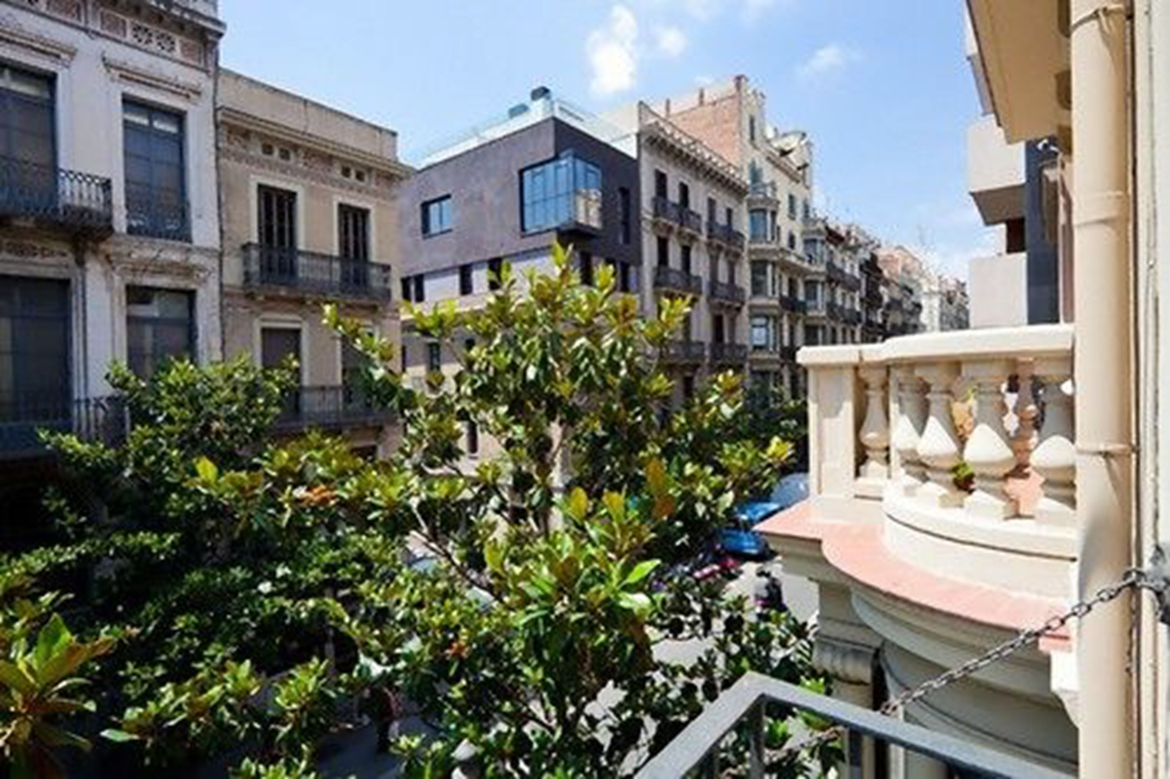 Photo - La Casa de Laura Nisia B&B