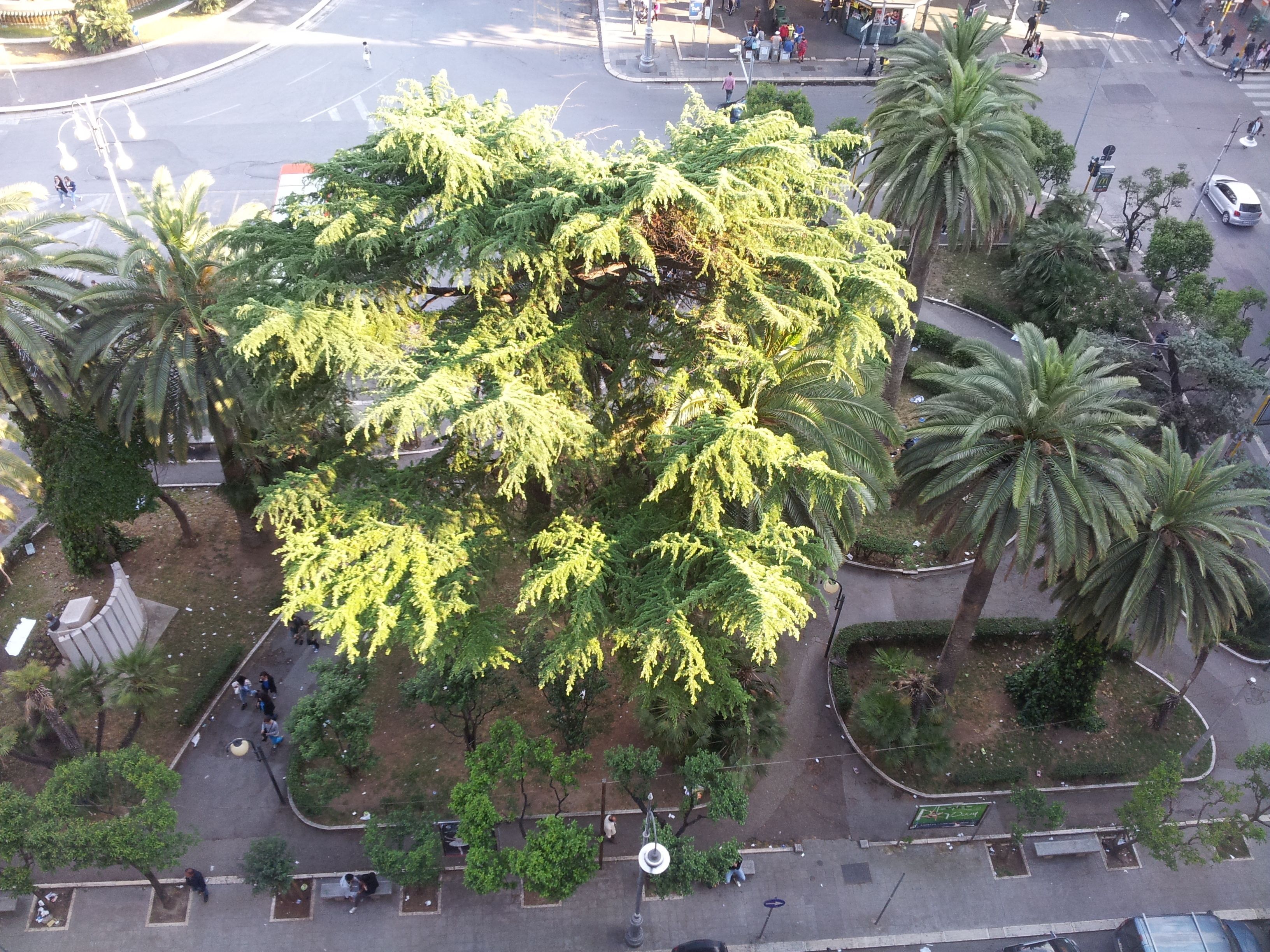 Foto - Residenza Piazza Moro