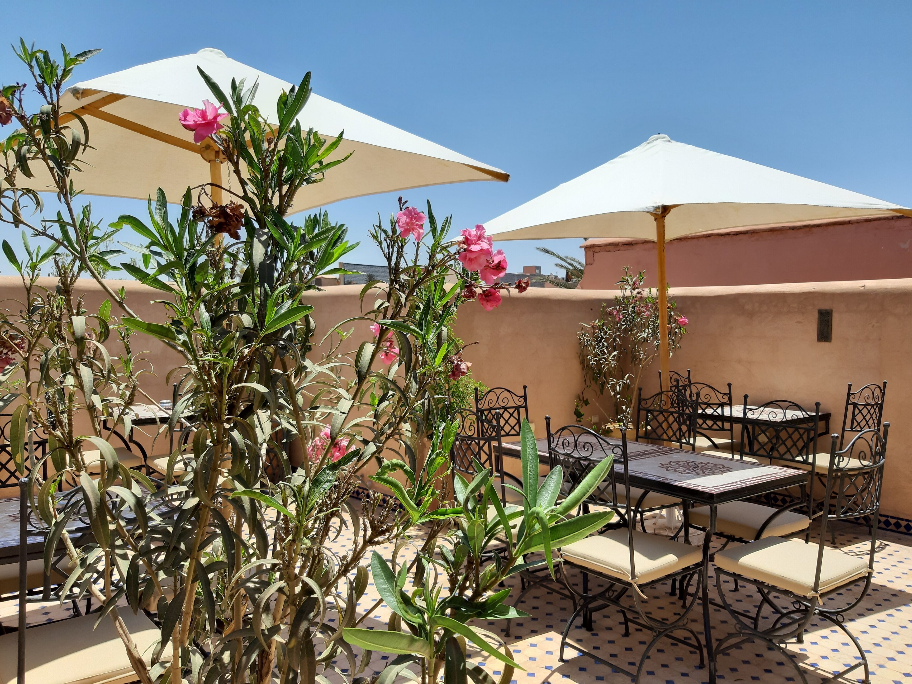 Foto - Riad Miral