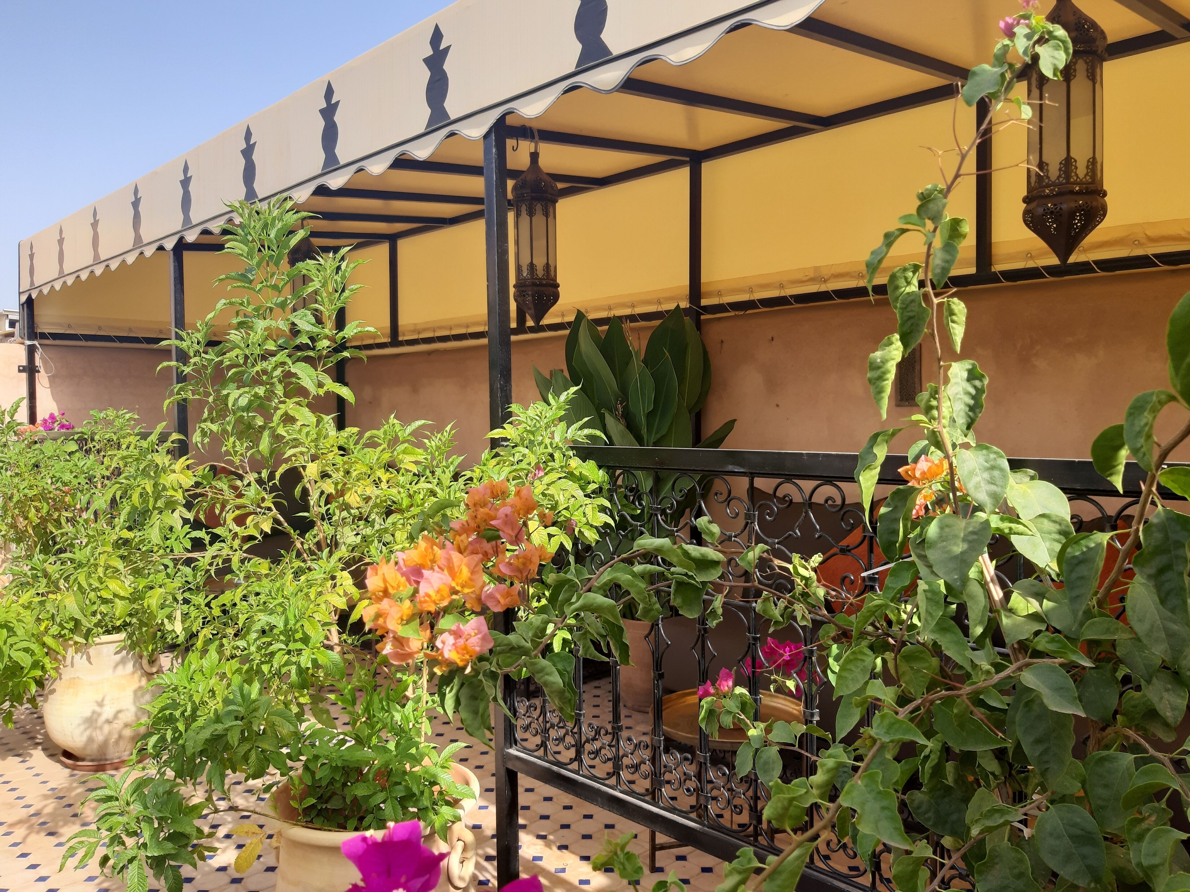 Foto - Riad Miral