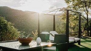 A patio with wicker furniture, a potted plant, and a hammock. - Vila Caelus Masia Boutique (Rubió)