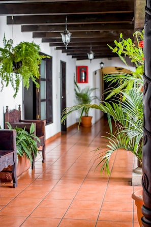 Um corredor com chão de azulejos, mobiliário de madeira e plantas em vasos.