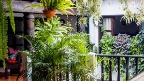 Un balcon orné de plantes en pot, d’où l’on peut admirer l’intérieur du bâtiment.