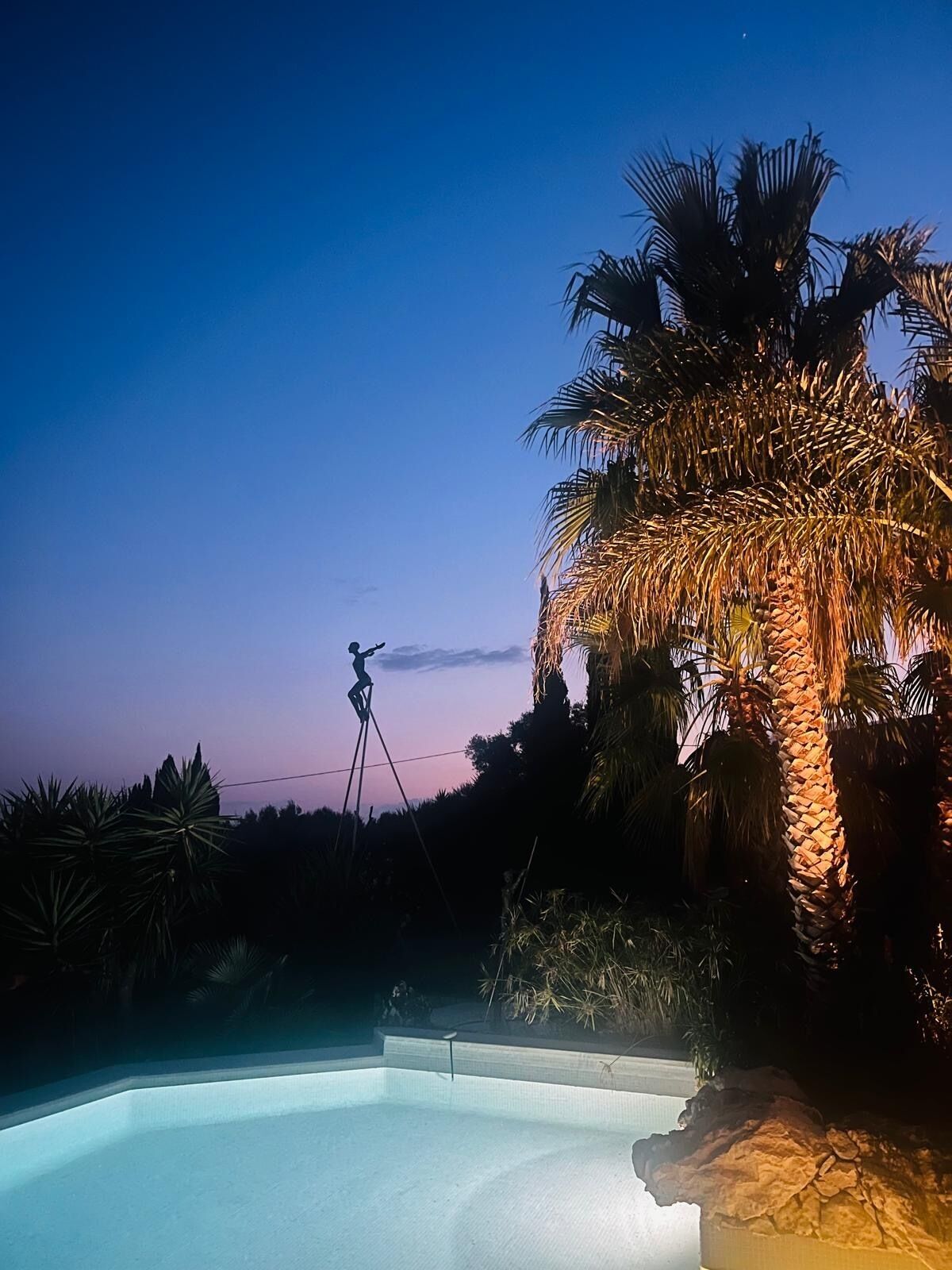 A swimming pool surrounded by palm trees and a clear sky.