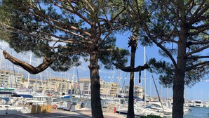 A marina with boats docked, trees, and a clear sky. - Les 4 éléments (Tourrettes-sur-Loup)