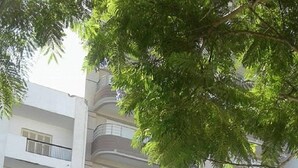 A multi-story building with a restaurant named "Mosaïque" on the ground floor. There are cars parked in front, and a tree is visible in the foreground. - Appartement Phenix (Sousse)