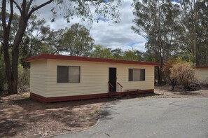 Large Cabin
