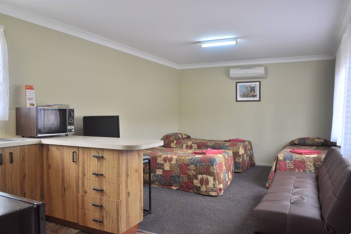 Een kamer met kitchenette, twee bedden met beddengoed met dessin, een bruine bank en een lijst met afbeelding aan de muur.