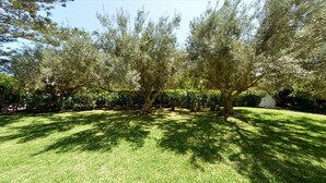 Jardín
