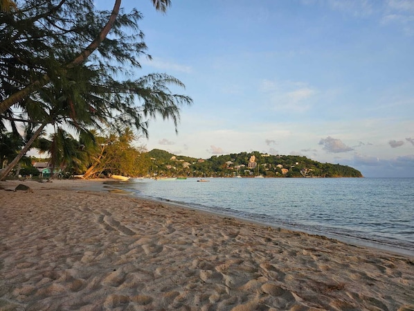 A beach with a sandy shore, palm trees, and a distant hill with buildings.