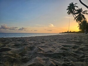 A beach with sand, palm trees, and a sunset.