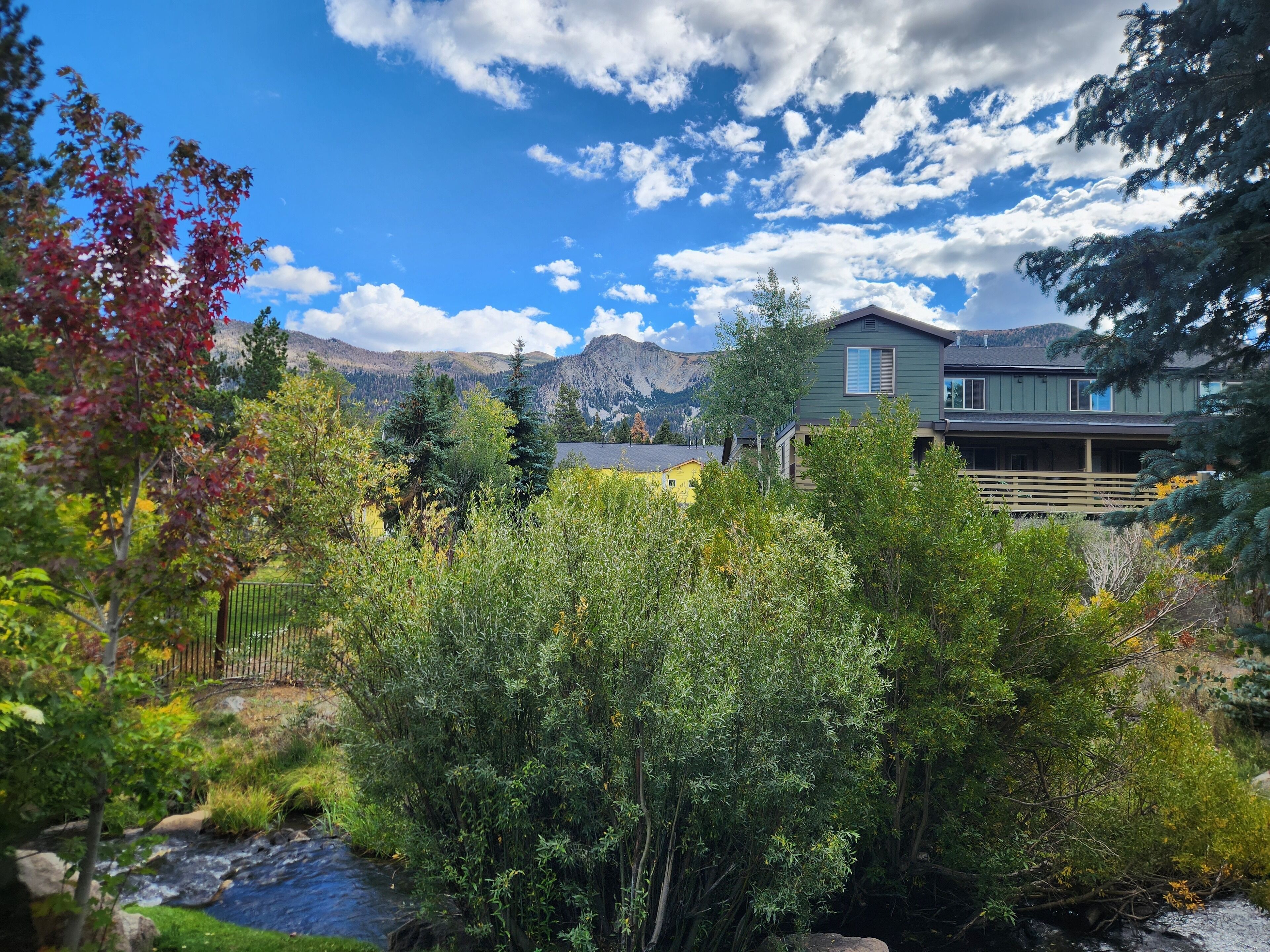A house with a mountain backdrop, surrounded by lush greenery and a small stream.