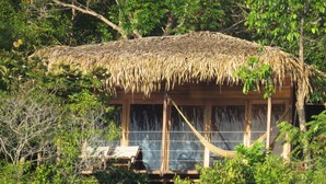 A thatched-roof hut surrounded by dense foliage. - Alta Vista Amazon Lodge (Manacapuru)