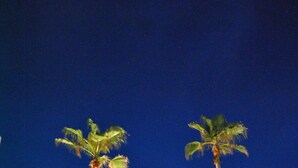 A nighttime view of a hotel with palm trees and a well-lit pathway. - Beachfront and Gorgeous Sunrise Views - A Beach Lover's Paradise  (South Padre Island)