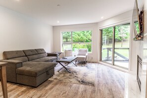 TV, fireplace, DVD player, stereo