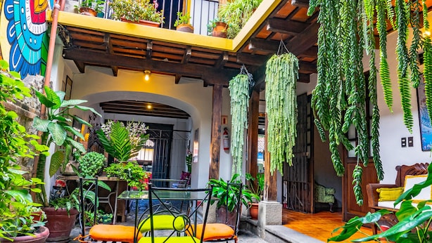 Une cour avec des plantes en pot, une table avec des chaises et des plantes suspendues.