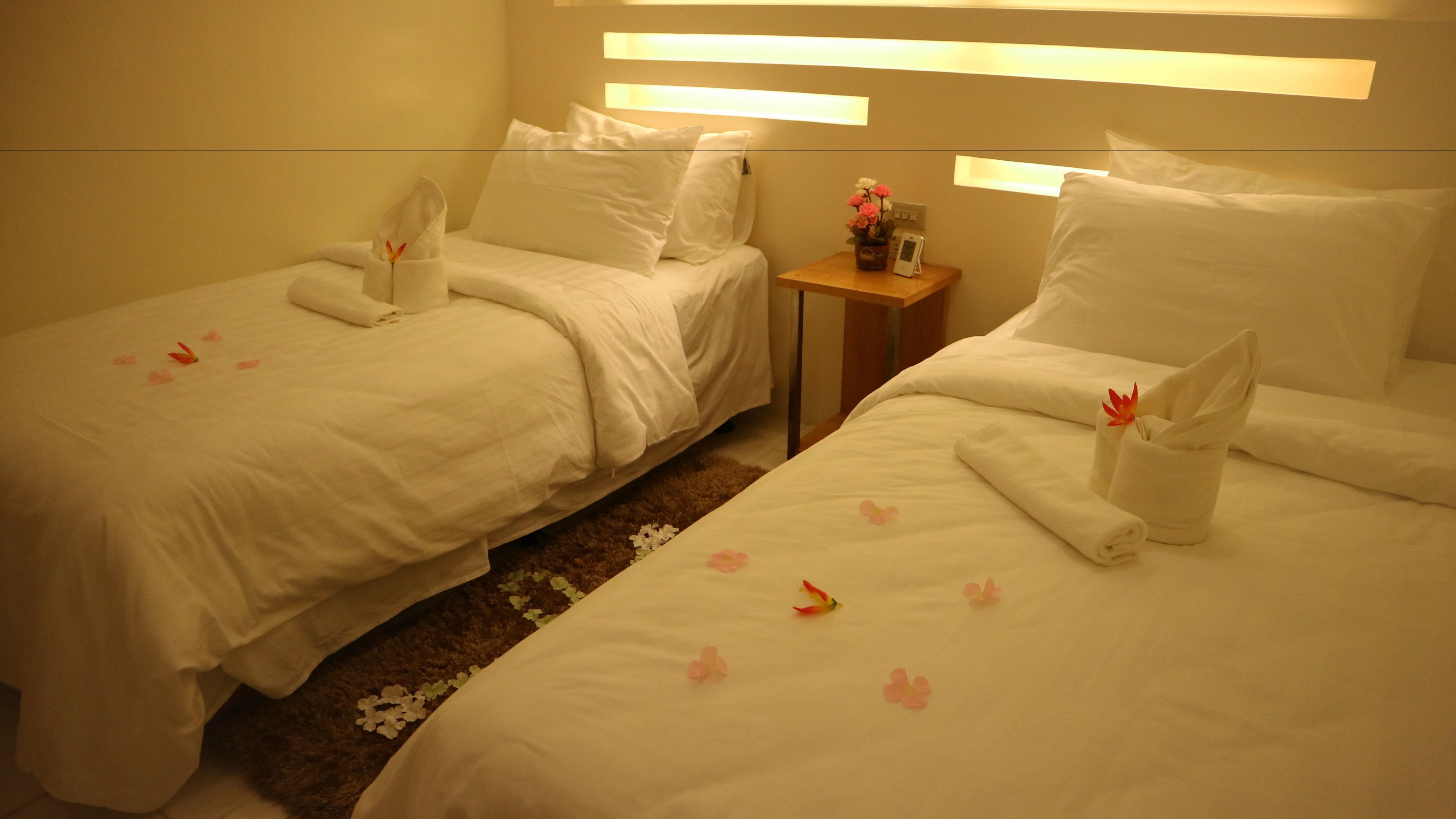 standard twin room | desk, rollaway beds, bed sheets