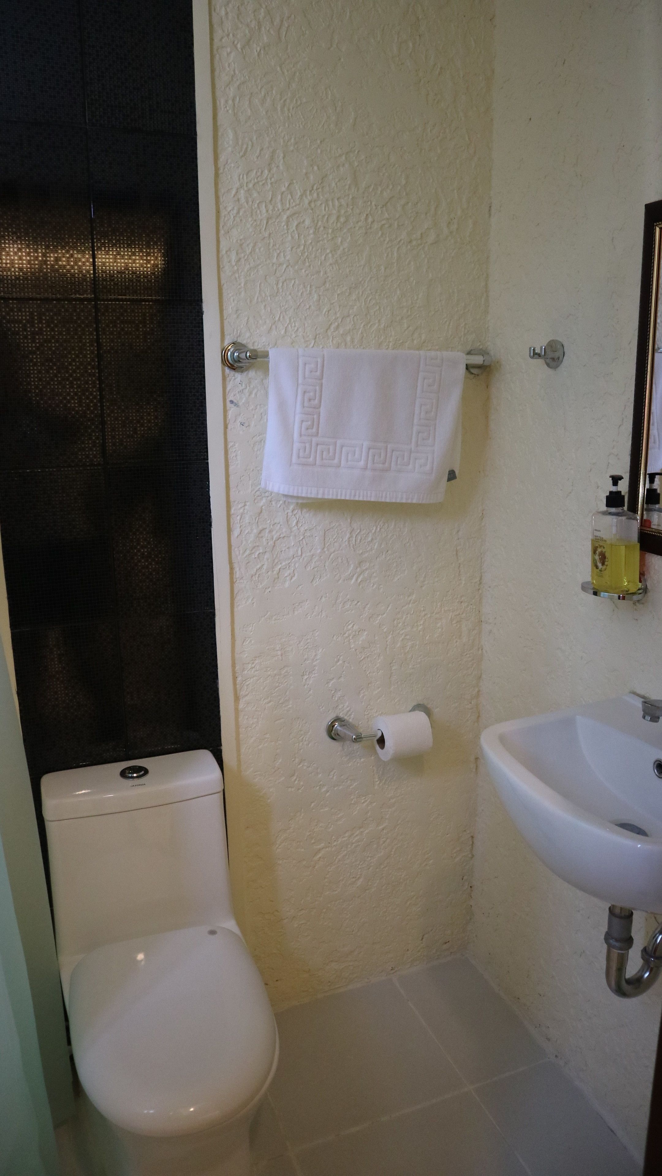 standard double room | bathroom | shower, free toiletries, towels