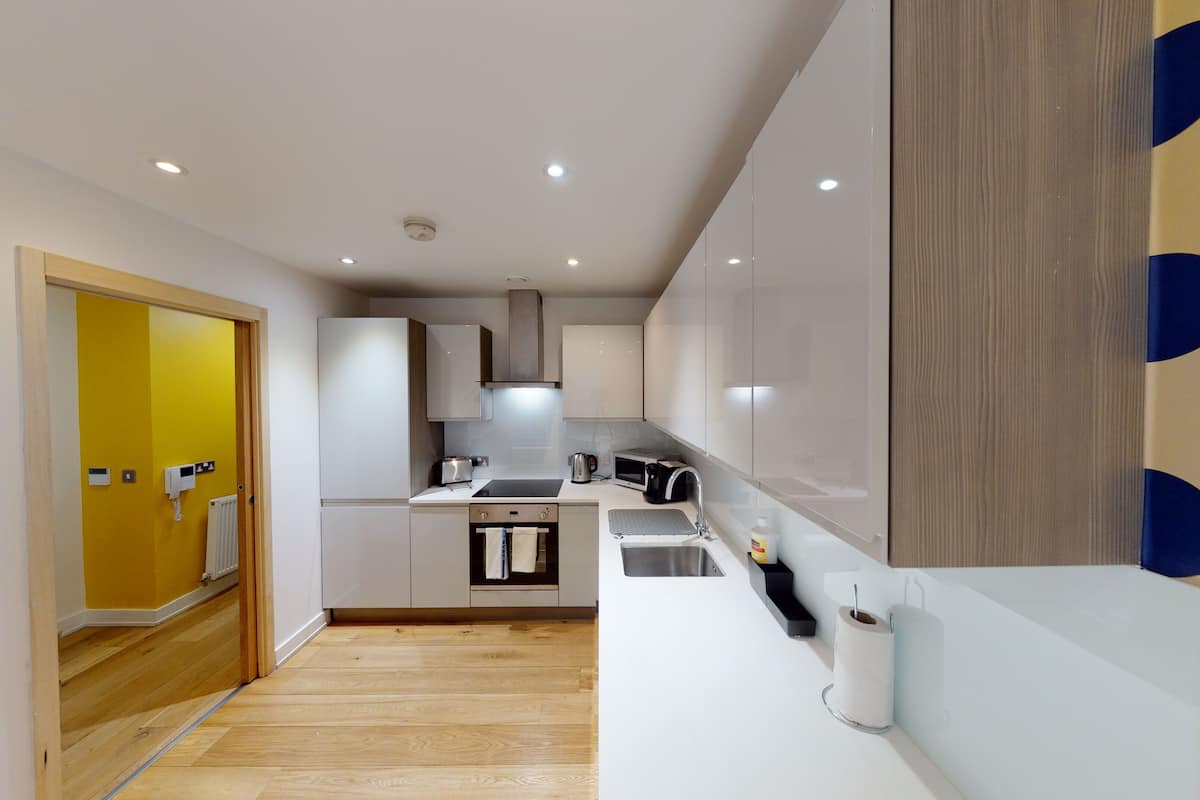 basic apartment, 2 bedrooms, accessible (3new) | private kitchen | full-sized fridge, microwave, oven, stovetop