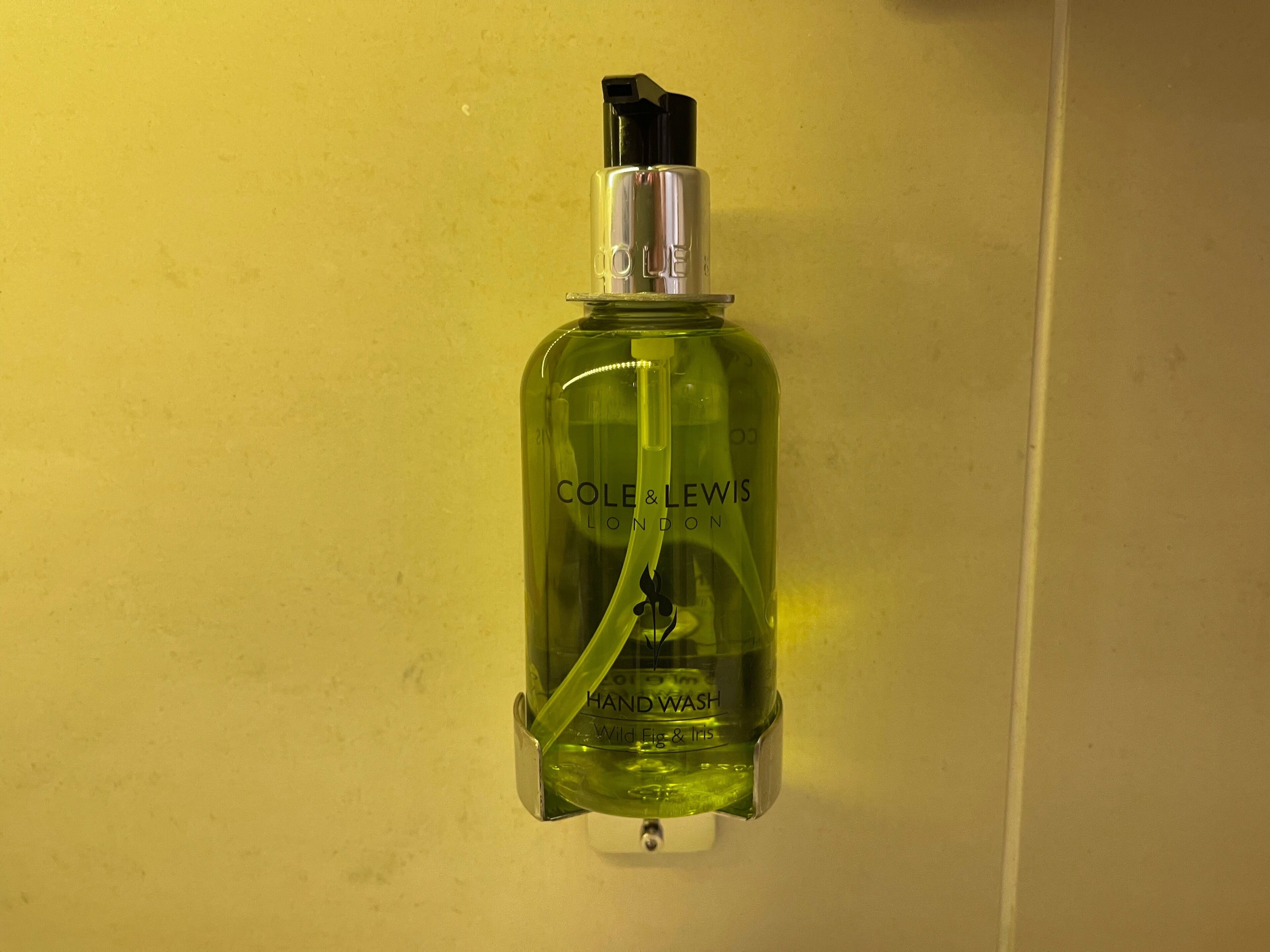 combined shower/bathtub, free toiletries, hair dryer, towels