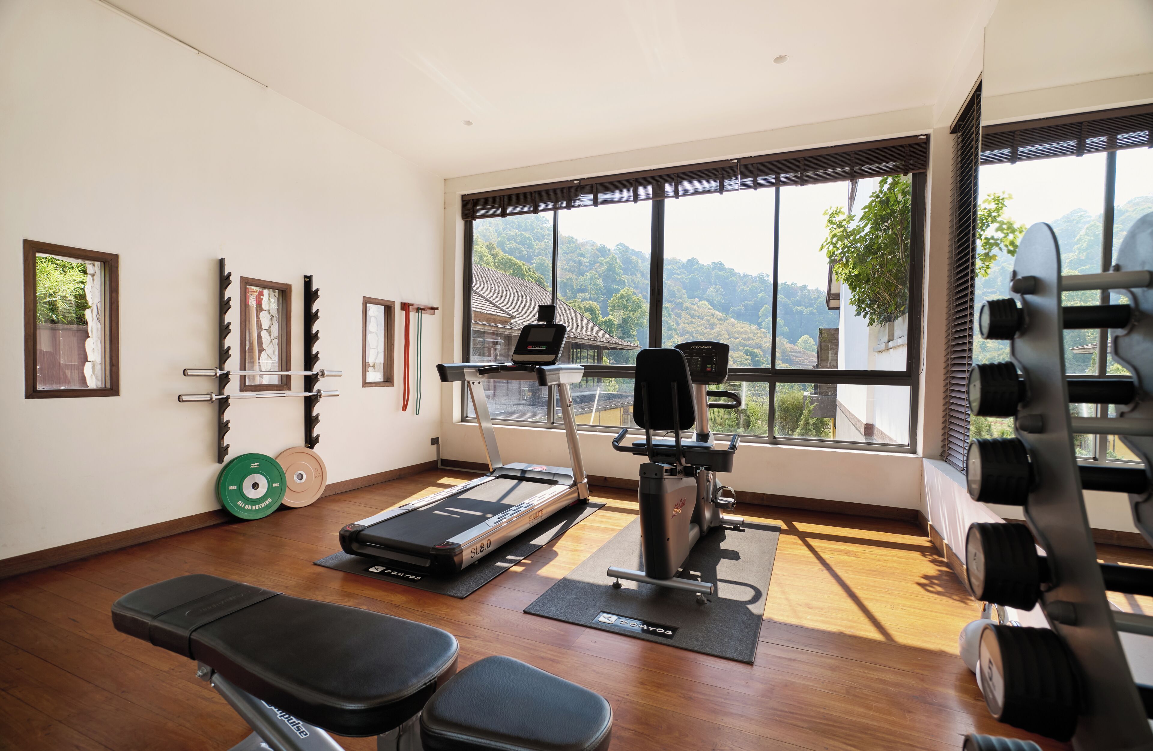A gym with a treadmill, weight bench, and various exercise equipment.