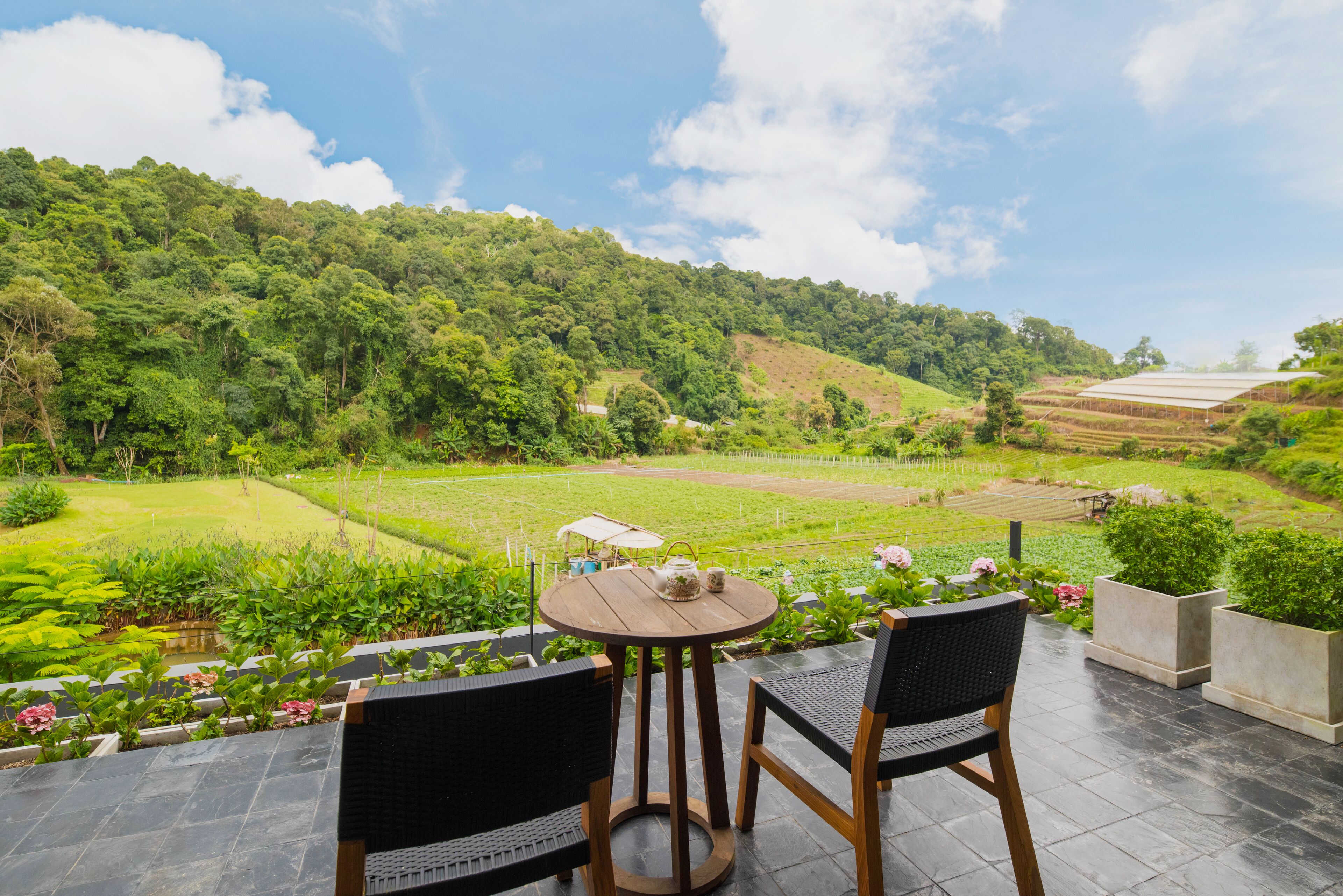 One Bedroom Emperor Suite (Adults Only) | View from room