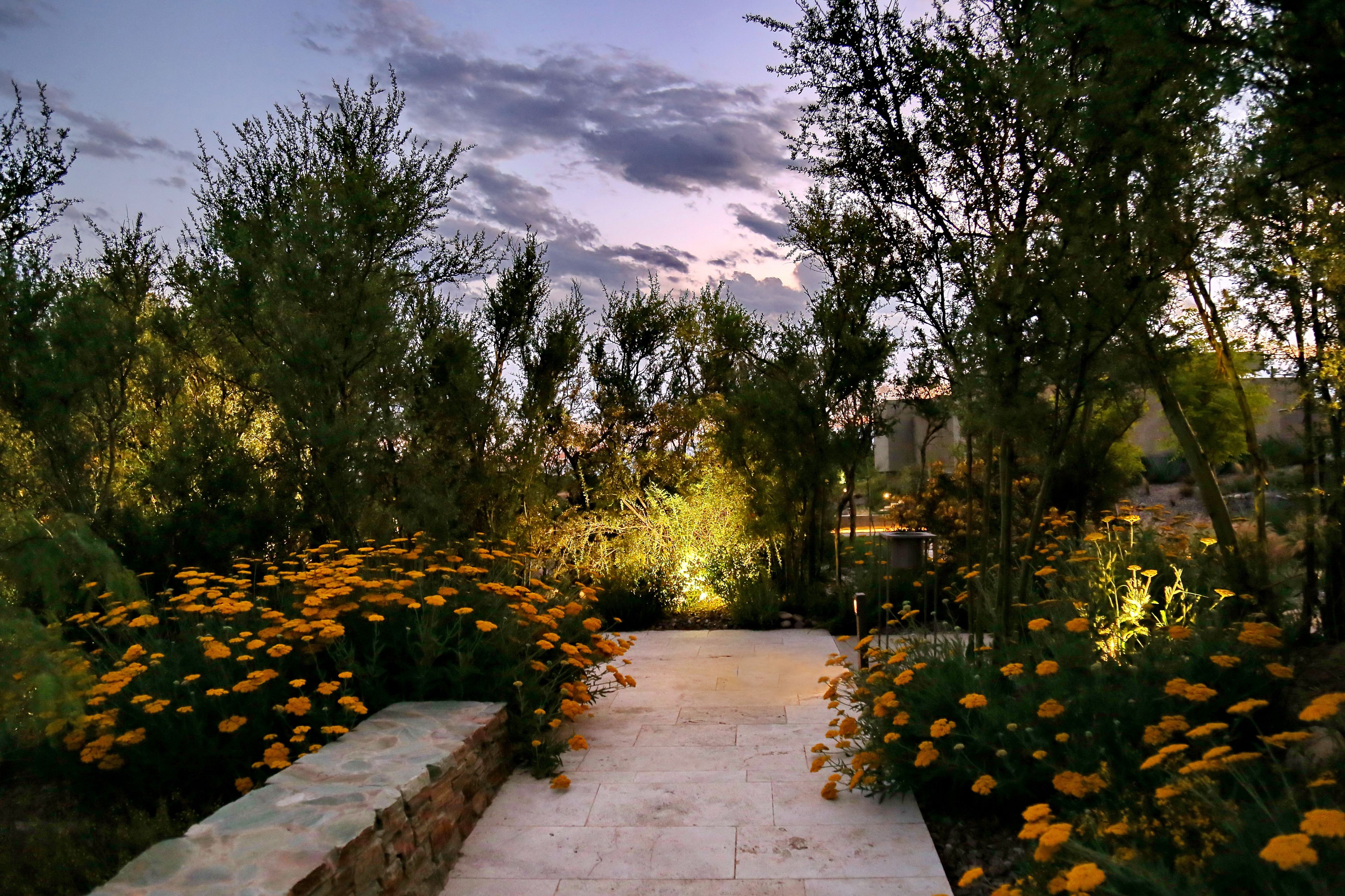 Un sendero bordeado de flores amarillas brillantes que lleva a un banco de piedra.
