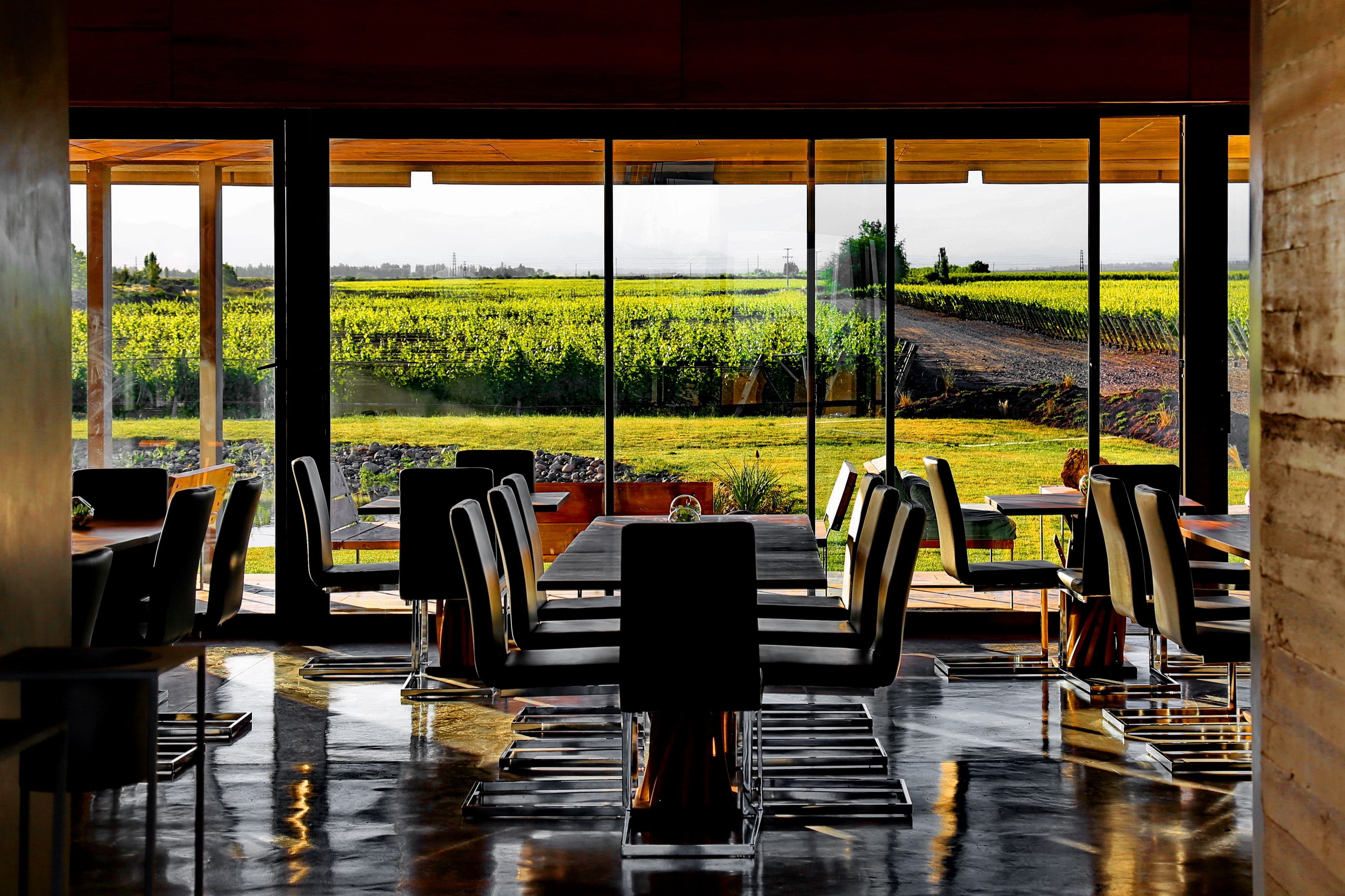 ランチ、ディナーに営業 (アルゼンチン料理)