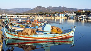 Un puerto deportivo con varias coloridas embarcaciones amarradas.