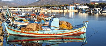 Gaea Gardens Studios