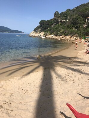 Plage à proximité, chaises longues, serviettes de plage