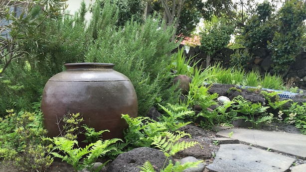 A garden with a large metal pot, ferns, and rocks. - Sunday Jeju (Seogwipo)