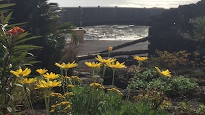 A coastal landscape with a rocky breakwater, a palm tree, and yellow flowers in the foreground. - Sunday Jeju (Seogwipo)