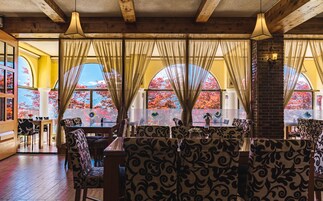 Un restaurante con sillas estampadas, una mesa de vidrio y vistas a árboles otoñales a través de amplias ventanas.
