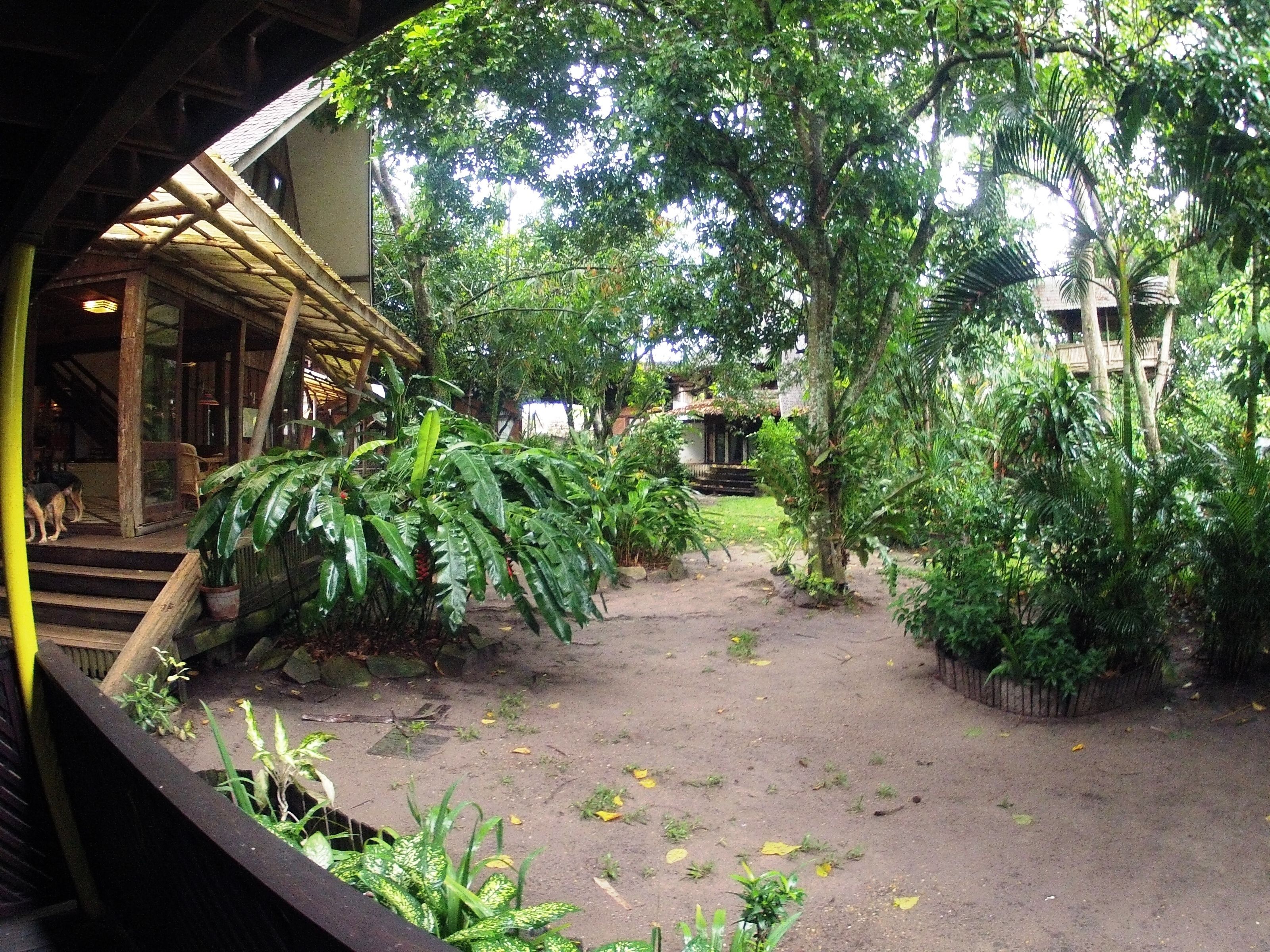A courtyard with a wooden staircase leading to a covered area, surrounded by lush greenery and a small building with a tiled roof.
