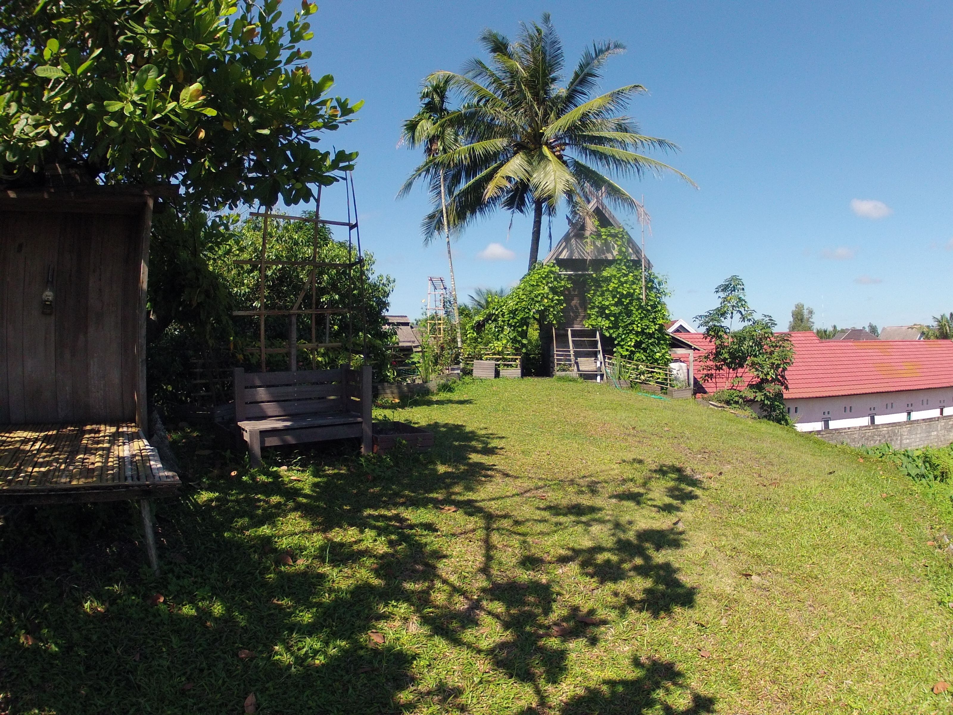 A grassy area with a wooden bench, a small structure, and a palm tree.