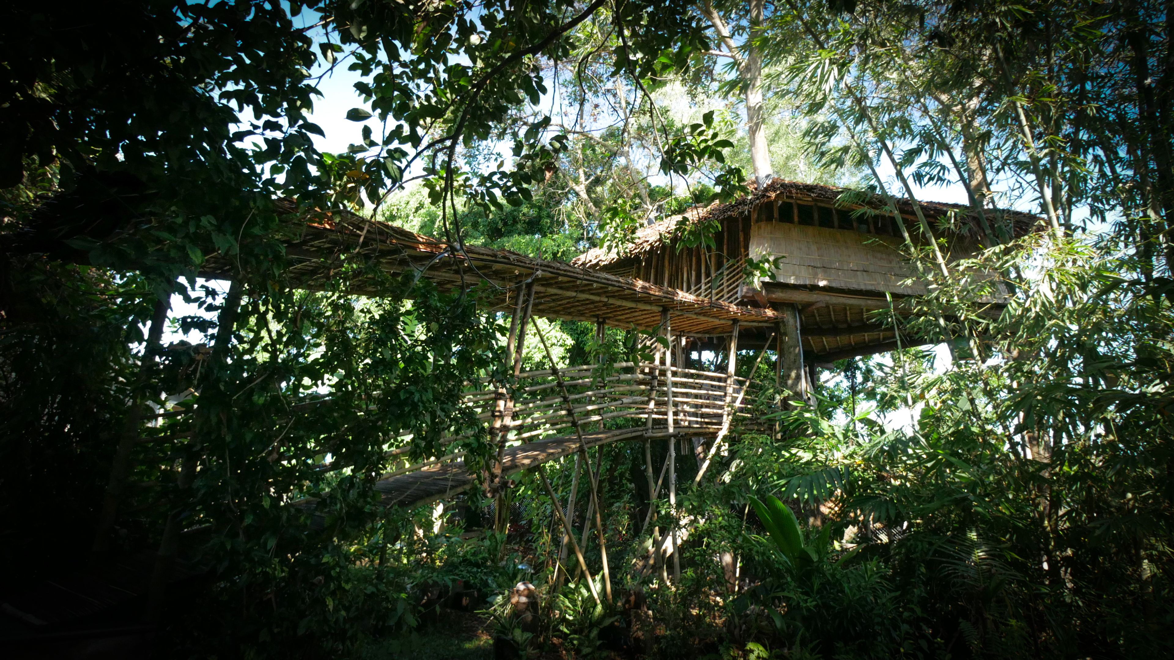 A treehouse with a thatched roof and wooden platform, surrounded by dense foliage.