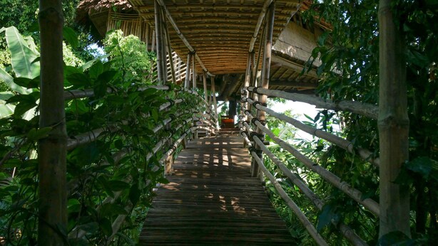 Een houten brug met bamboestructuur, omringd door weelderige begroeiing.