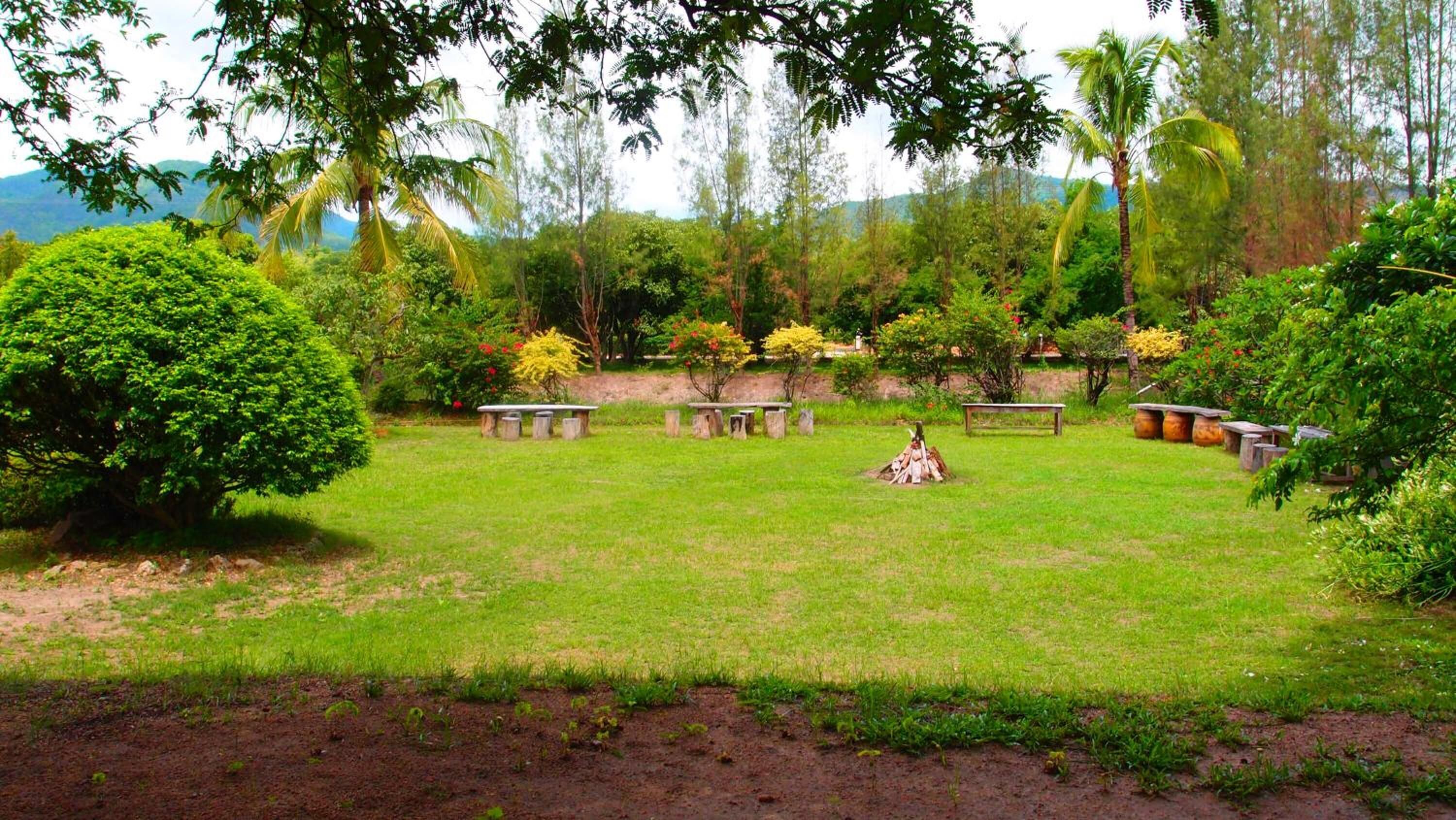 A lush garden with a grassy lawn, several wooden benches, and a small fire pit.