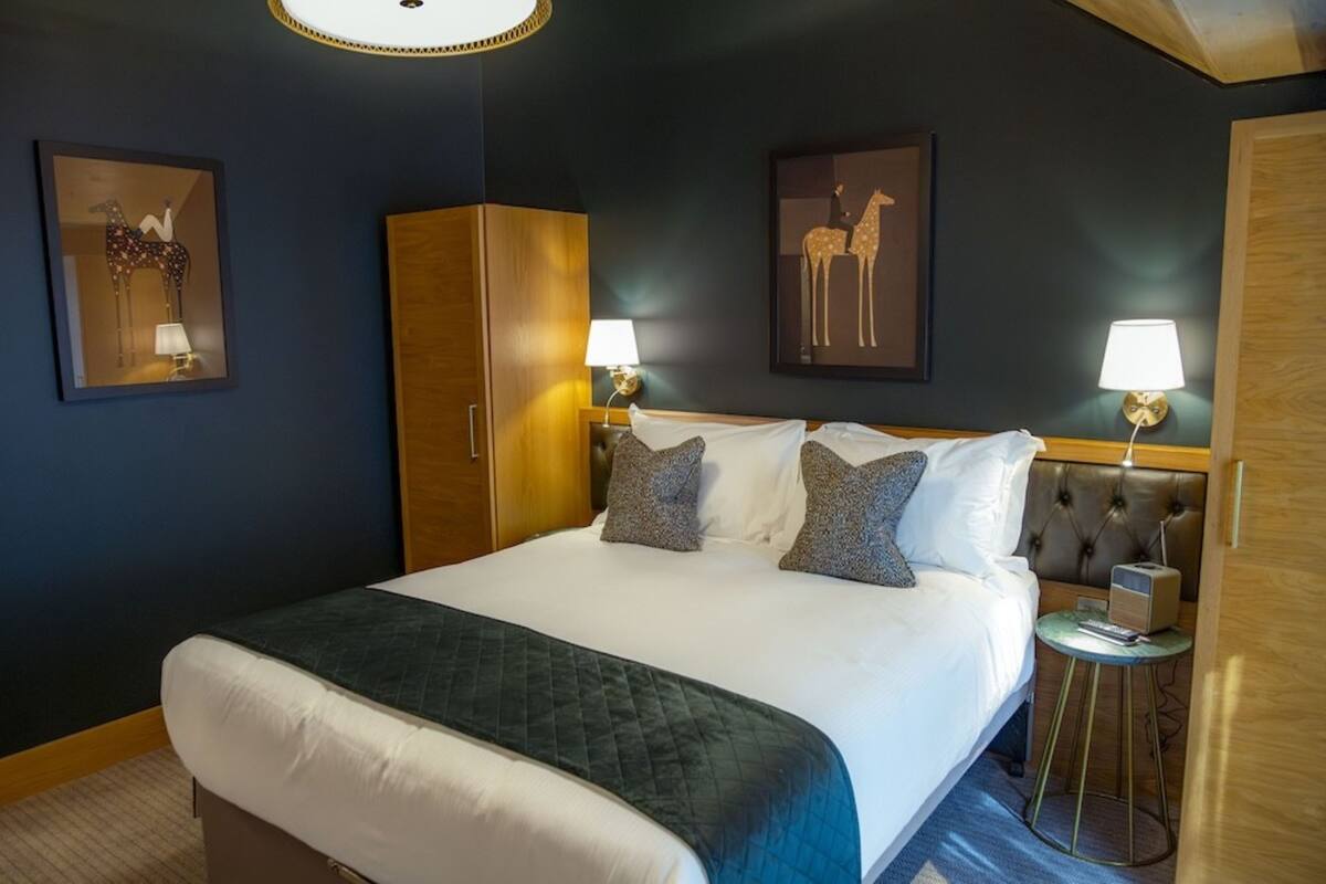 Classic Accessible Double Room | 1 間睡房、高級寢具、書桌、熨斗/熨衫板