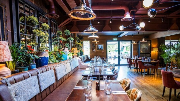 A restaurant with a long counter, booths, and a variety of plants. - The Royal Foresters, Ascot, Berkshire - Acorn Pubs (Ascot)