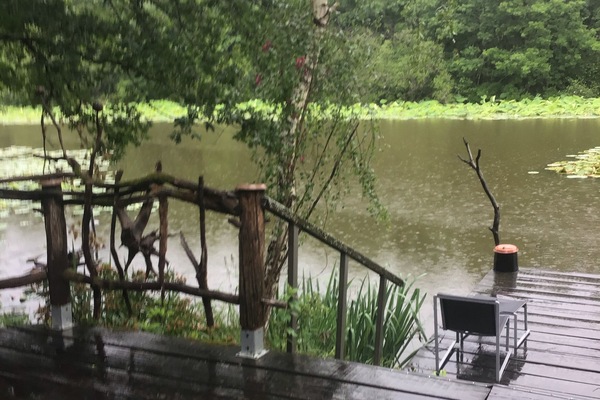 Vue étang de la terrasse