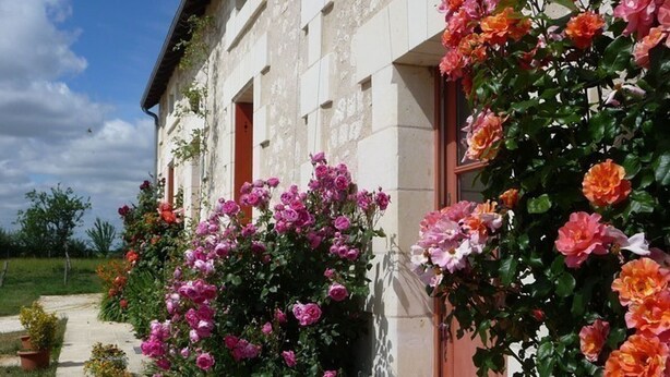 A stone building with a garden featuring pink and orange flowers. - Touraine Cottage near Loches with Fireplace and Garden (Saint-Senoch)