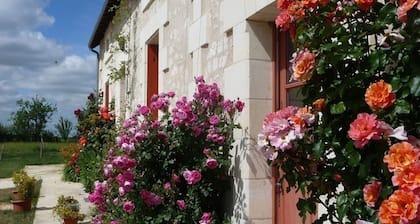Gßte de charme en Touraine du Sud avec cheminée, jardin clos et équipement bébé, proche Loches