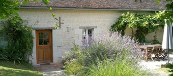 Authentic cottage in Brizay with private garden and pool