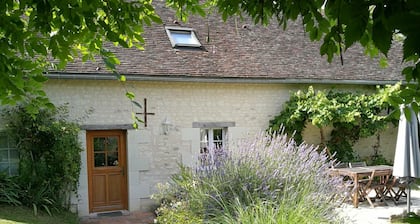 Authentic cottage in Brizay with private garden and pool