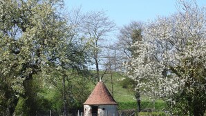 Un petit bâtiment rustique, surmonté d’un toit conique, entouré d’une végétation luxuriante et d’arbres en fleurs.