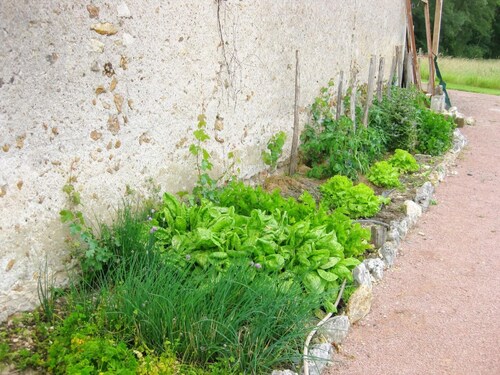 Charmante maison en Touraine: gîte avec jardin, animaux acceptés