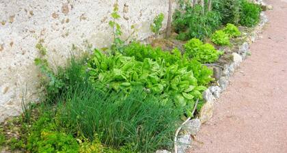 Charmante maison en Touraine: gßte avec jardin, animaux acceptés